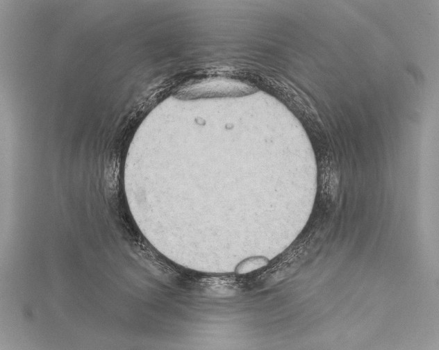 X0000114670660200912021055