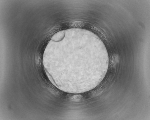 X0000114670663200912021055