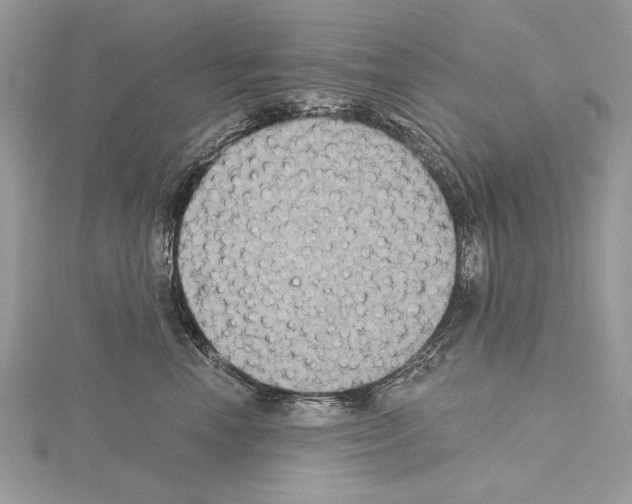 X0000114670666200912021055