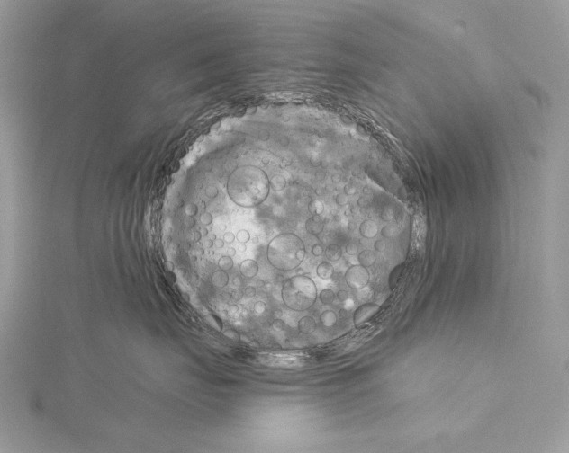 X0000114670671200912021055