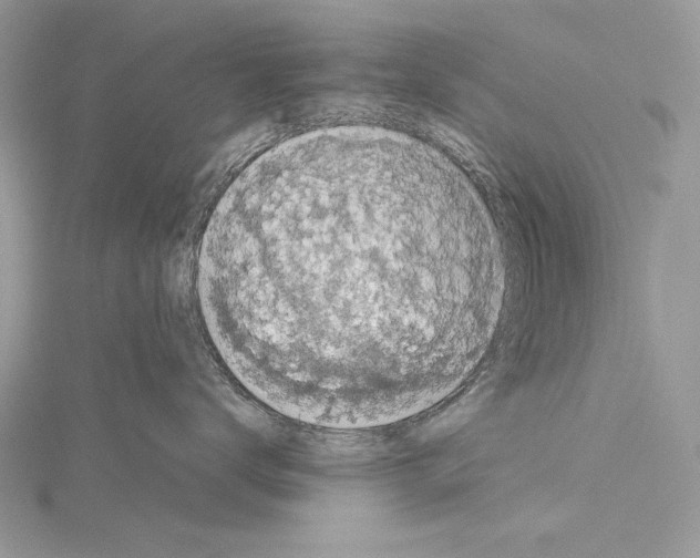 X0000114670672200912021055