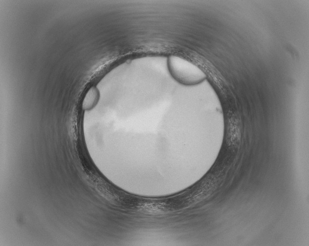 X0000114670680200912021054