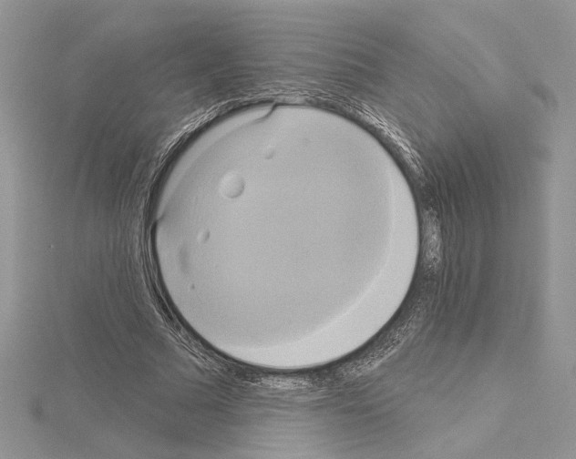 X0000114670681200912021054