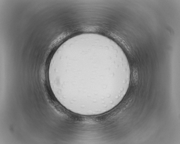 X0000114670682200912021054