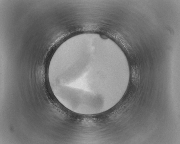 X0000114670684200912021054