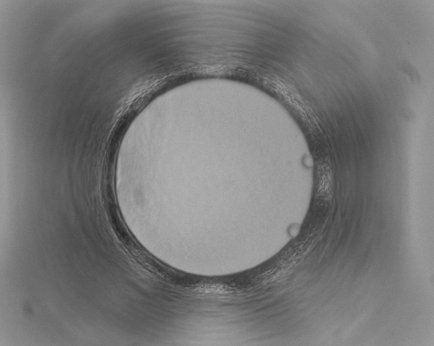 X0000114670685200912021054