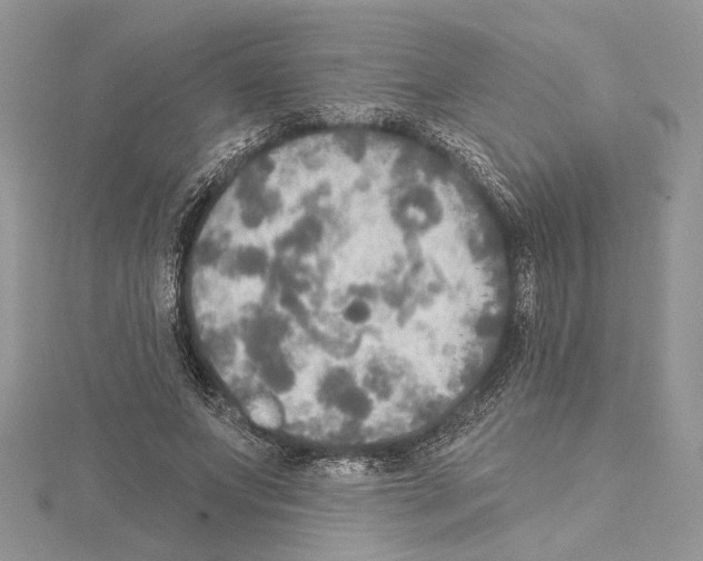 X0000114670687200912021054