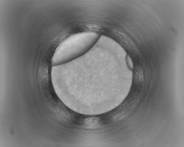 X0000114670700200912021054