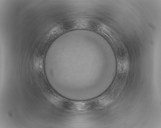 X0000114670701200912021054