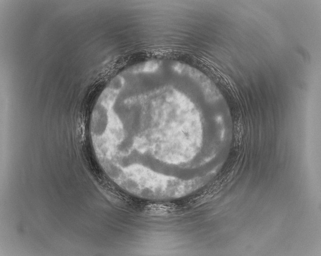 X0000114670703200912021054