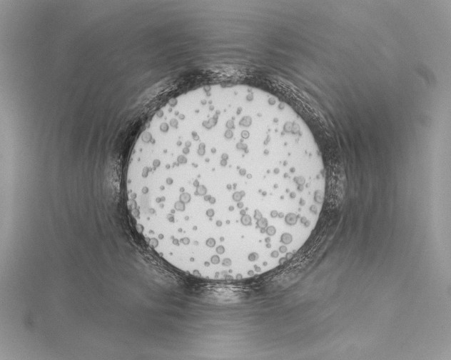 X0000114670710200912021054