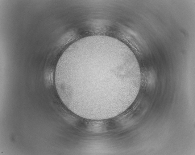 X0000114670717200912021053