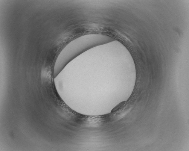 X0000114670720200912021053