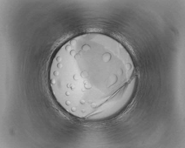 X0000114670721200912021053