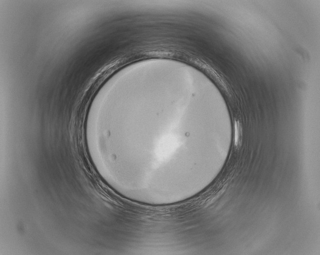 X0000114670723200912021053