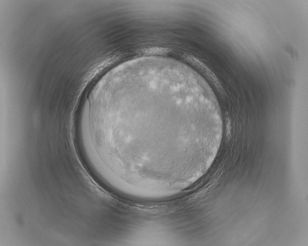 X0000114670725200912021053