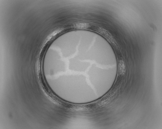 X0000114670726200912021053