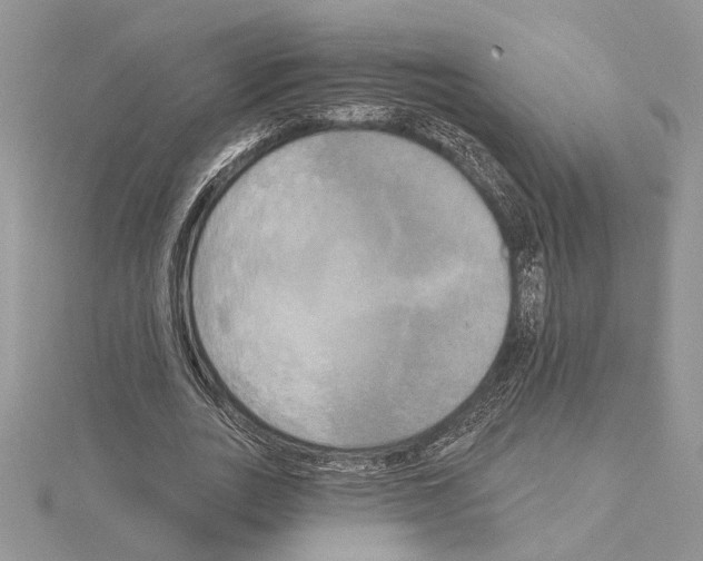 X0000114670727200912021053