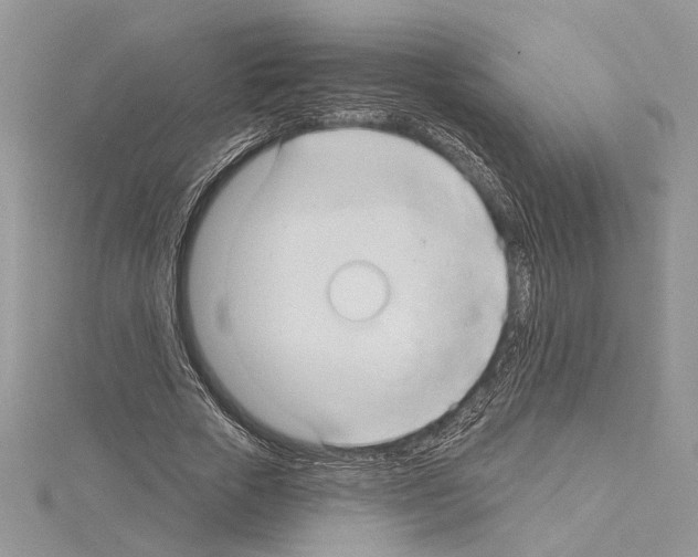 X0000114670729200912021053