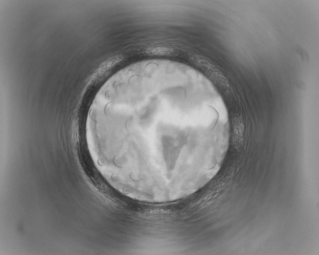 X0000114670734200912021053