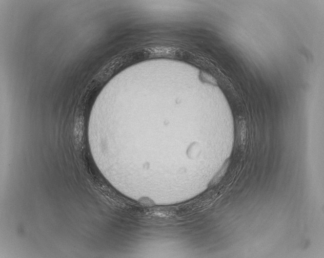 X0000114670737200912021053