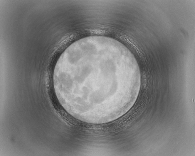 X0000114670738200912021053