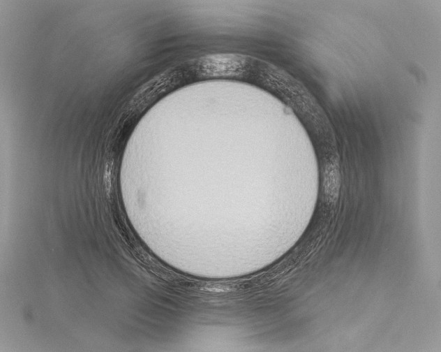 X0000114670741200912021053