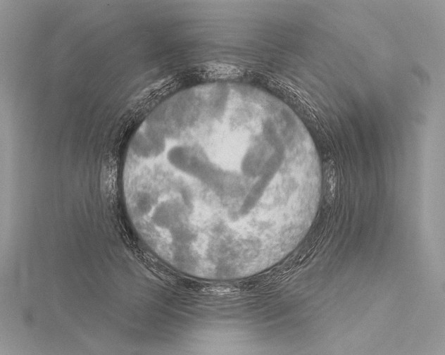 X0000114670745200912021053