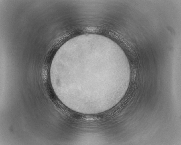 X0000114670746200912021053