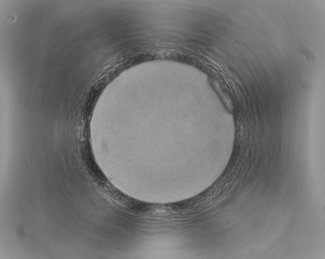 X0000114670750200912021053