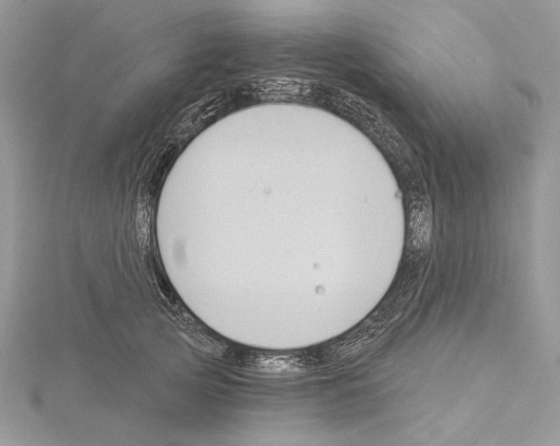 X0000114670753200912021053