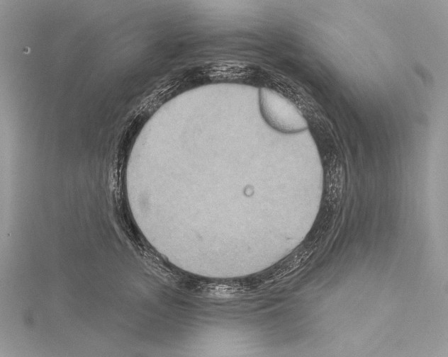 X0000114670755200912021053