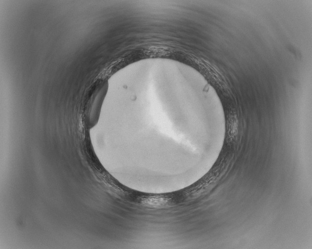 X0000114670759200912021053