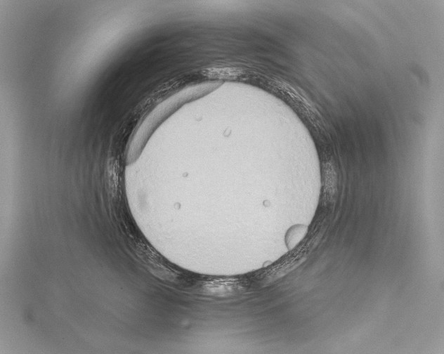 X0000114670761200912021053