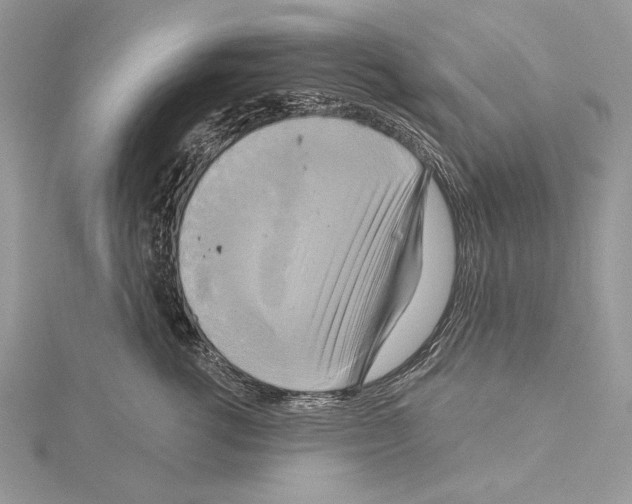 X0000114670762200912021053