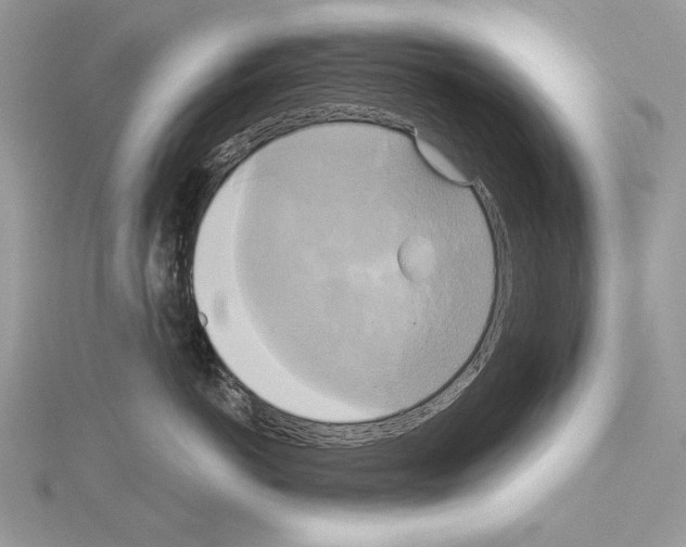 X0000114670766200912021053