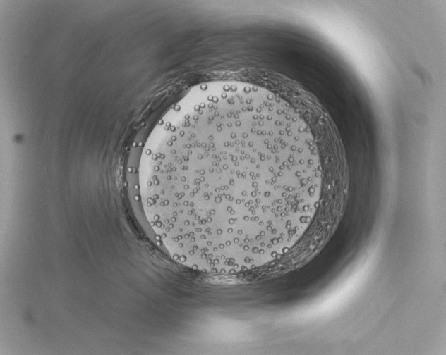 X0000114670767200912021053