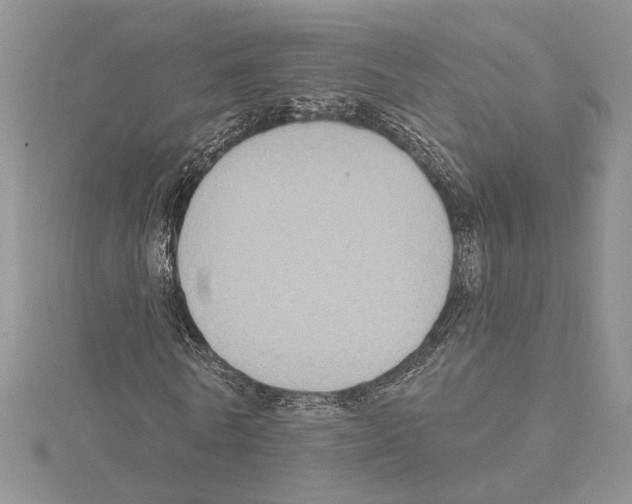 X0000114670770200912021053