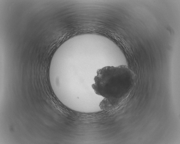 X0000114670772200912021053