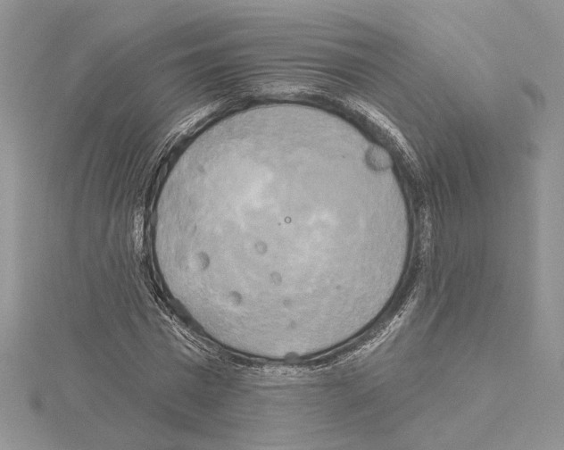 X0000114670777200912021053