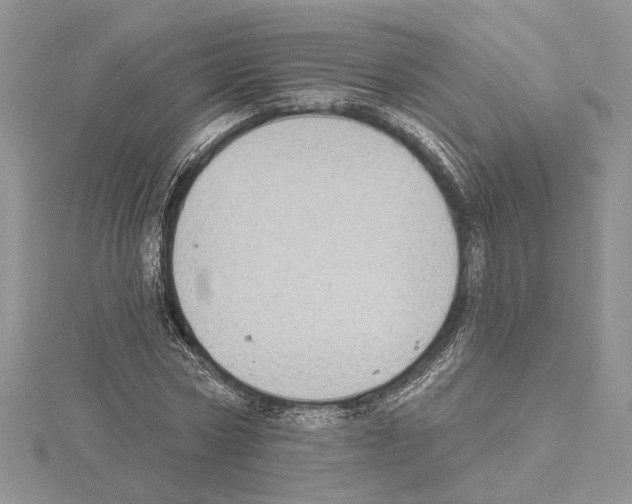 X0000114670778200912021053