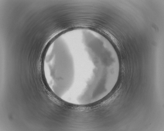 X0000114670779200912021053