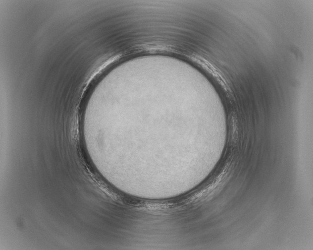 X0000114670782200912021052