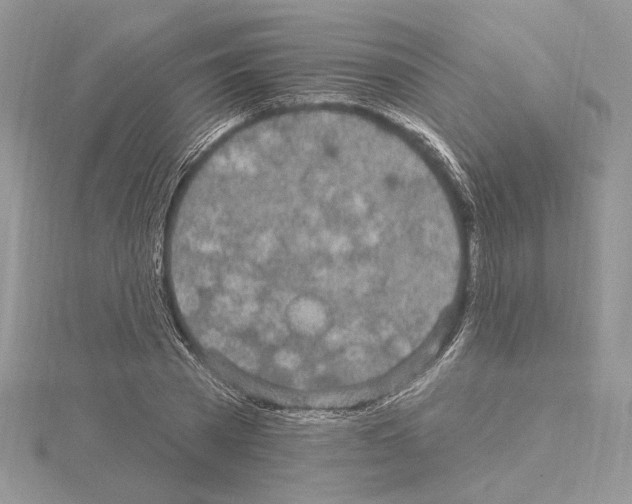 X0000114670785200912021052