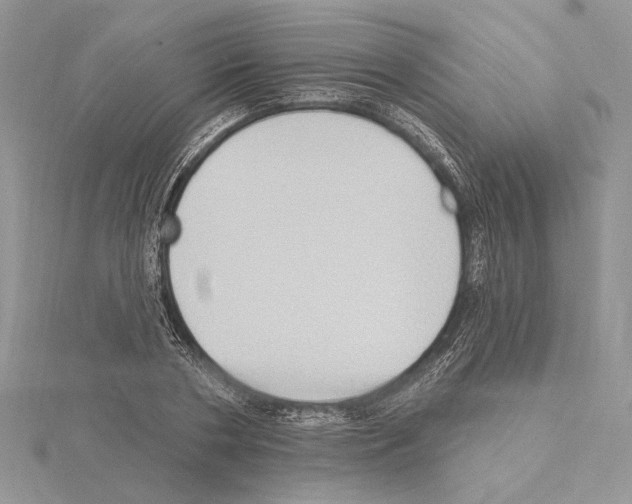 X0000114670786200912021052