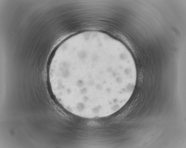 X0000114670787200912021052