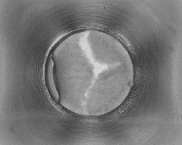 X0000114670788200912021052