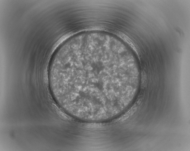 X0000114670789200912021052