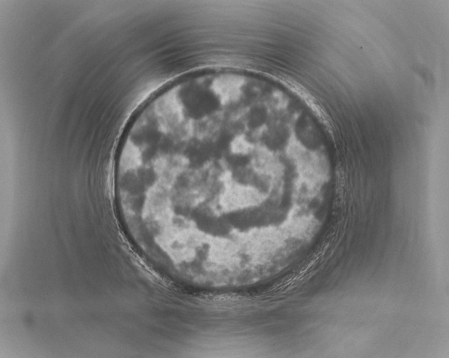 X0000114670791200912021052