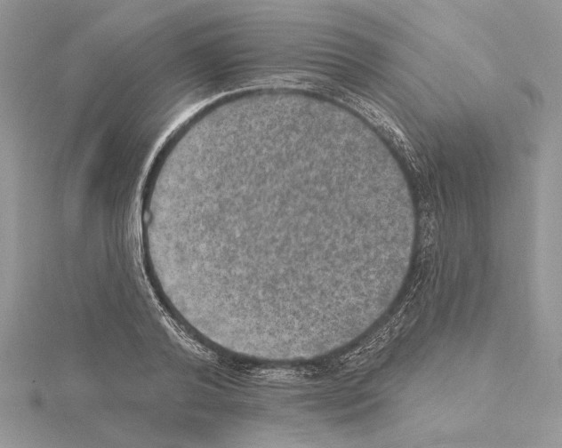 X0000114670792200912021052